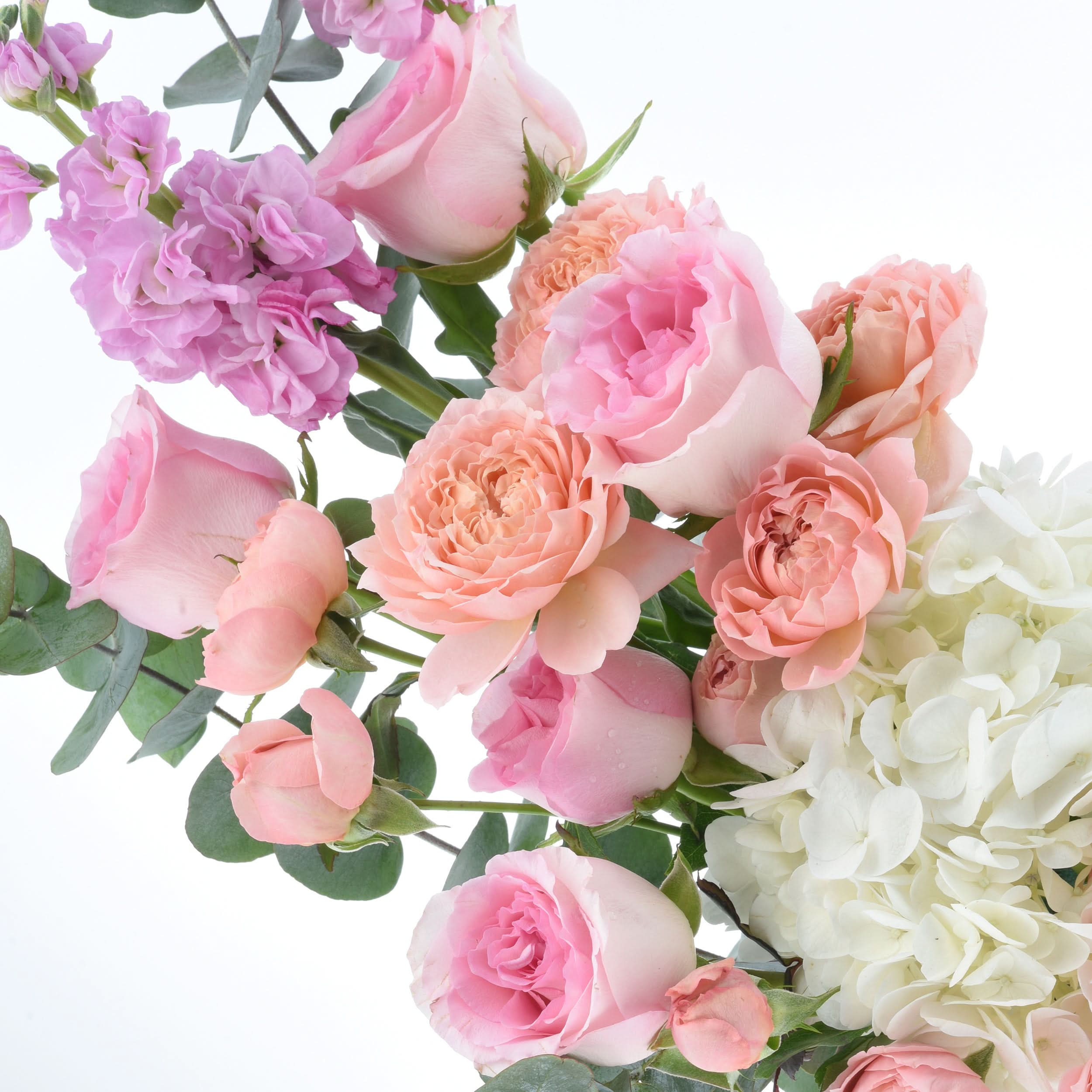 Soft pink roses, peach peonies, and white hydrangeas with lush greenery.