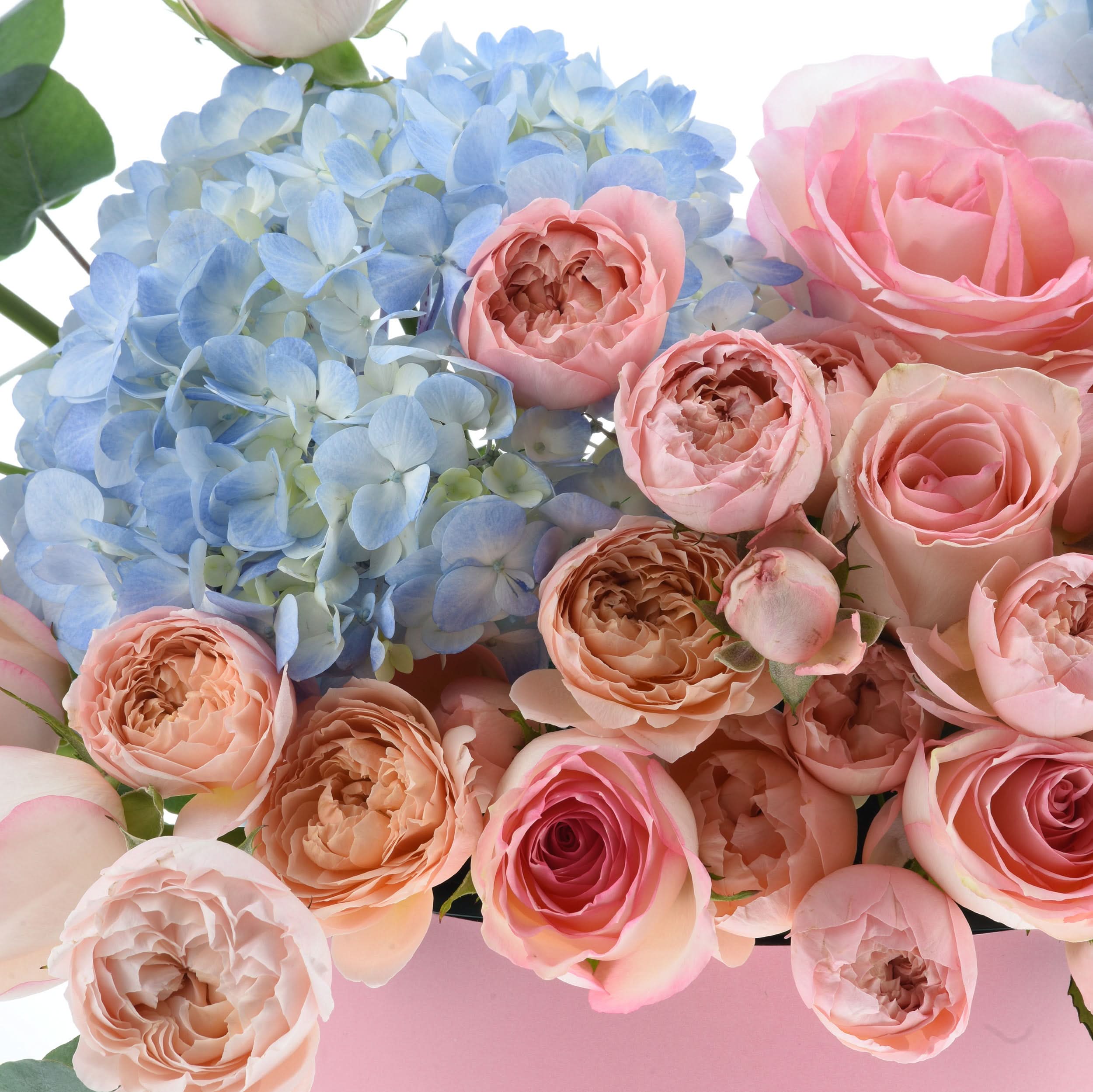 Echoes of Elegance – Legacy Box