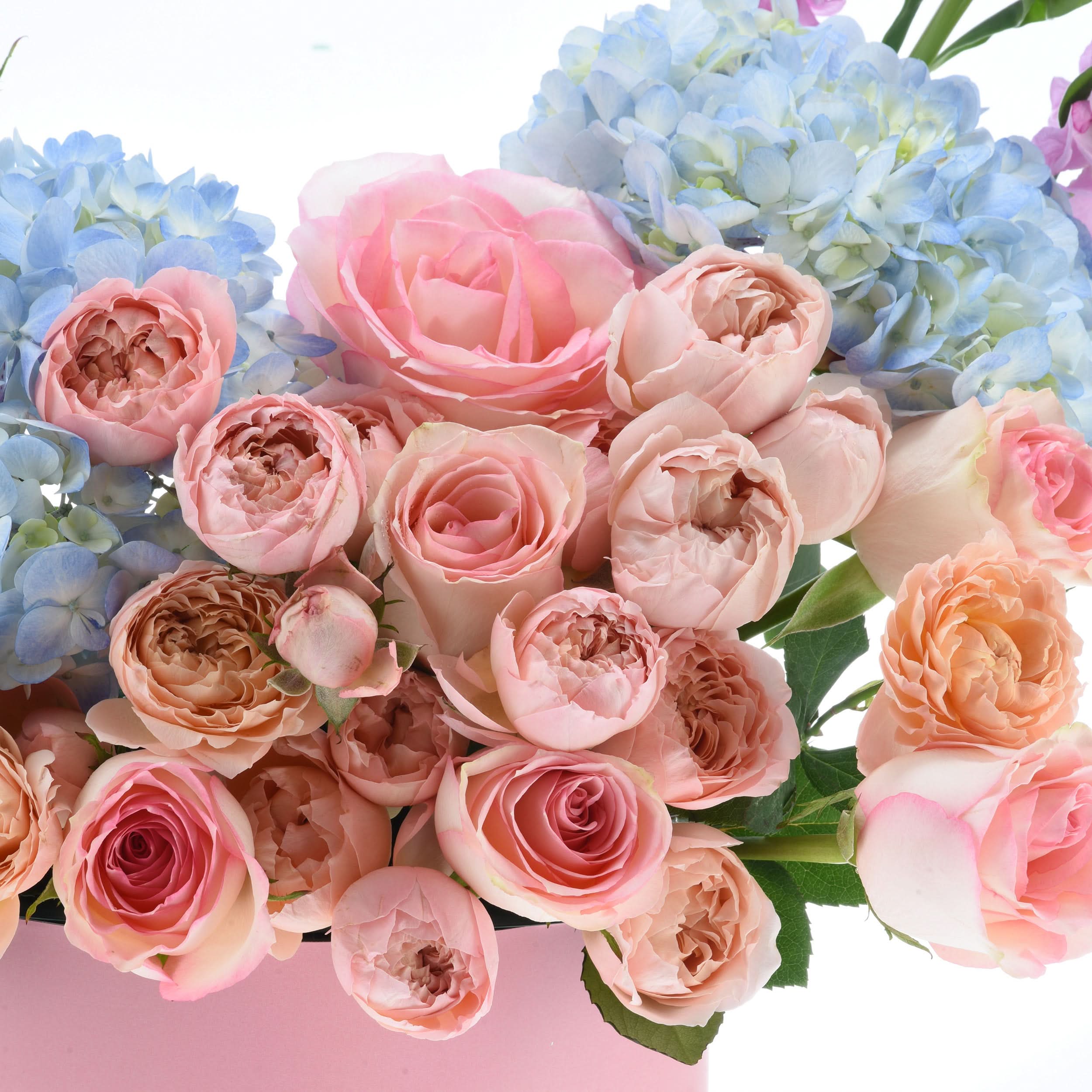 Echoes of Elegance – Inspire Box