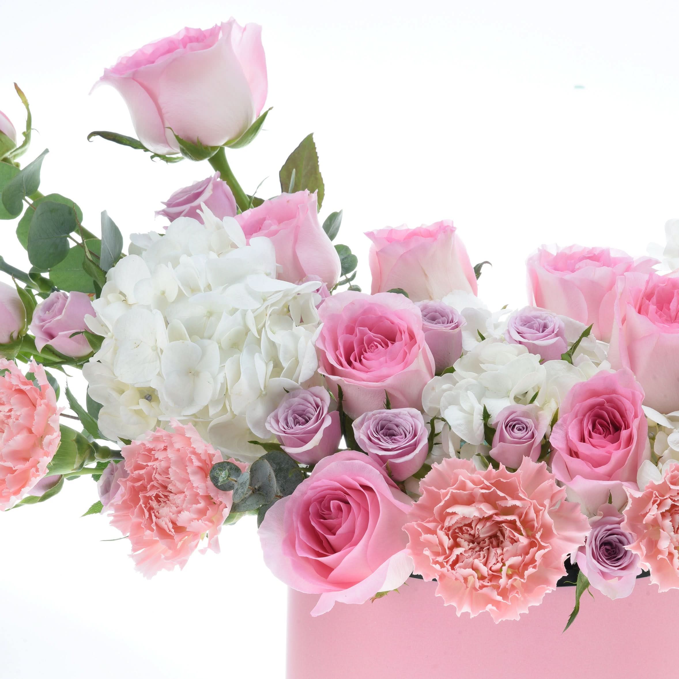 Pink roses, white hydrangeas, carnations in soft pink box, lush greenery, elegant bouquet.