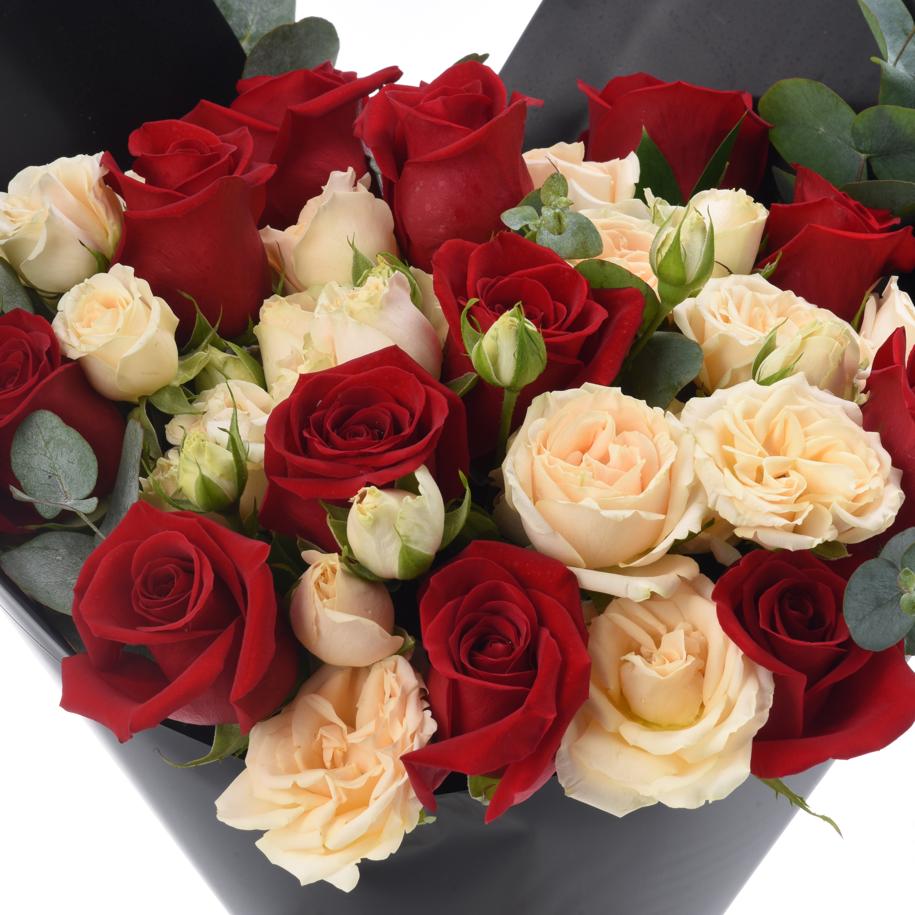 Vibrant red and cream roses with eucalyptus in sleek black box, perfect for romance or luxury gifting.