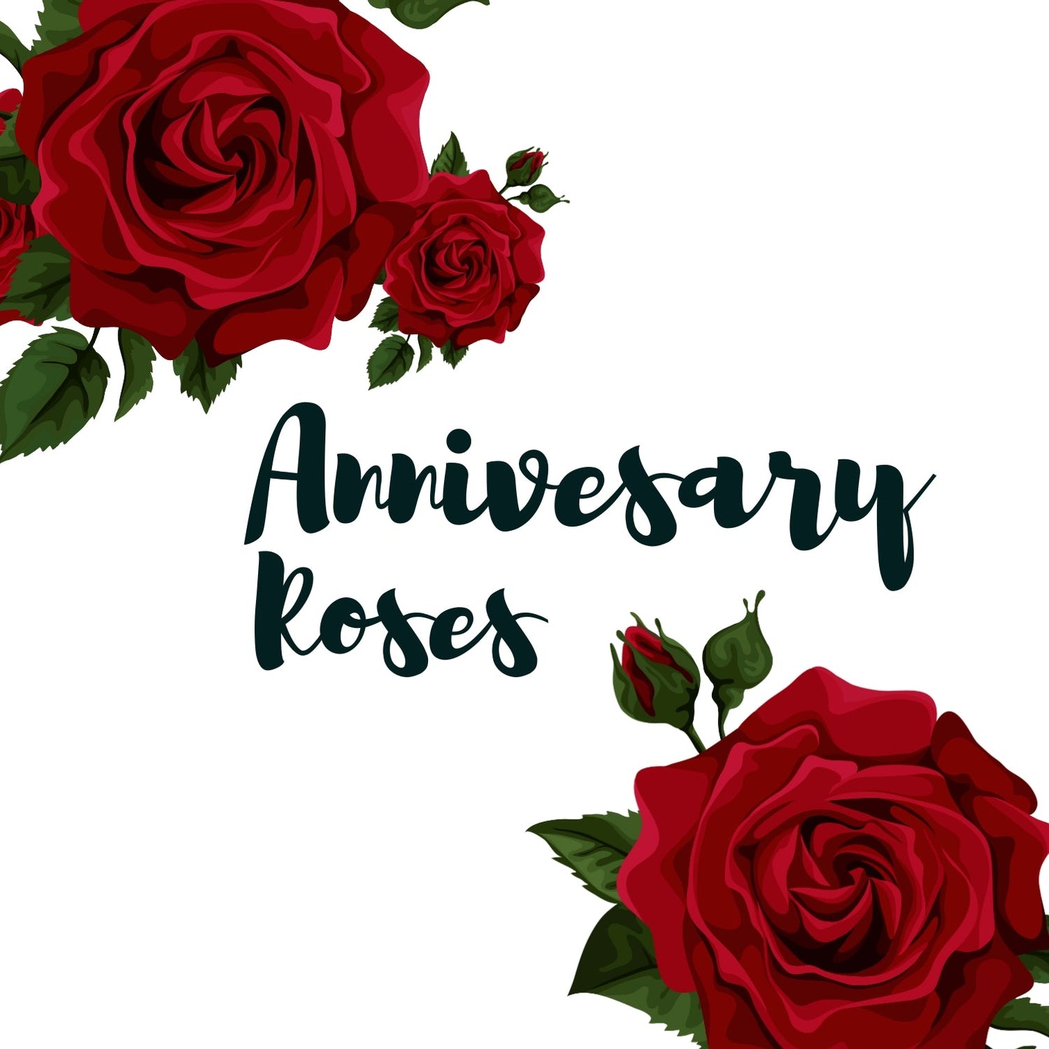 Anniversary Roses