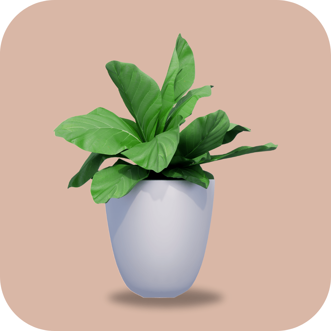 House Warming - Zuvees.ae