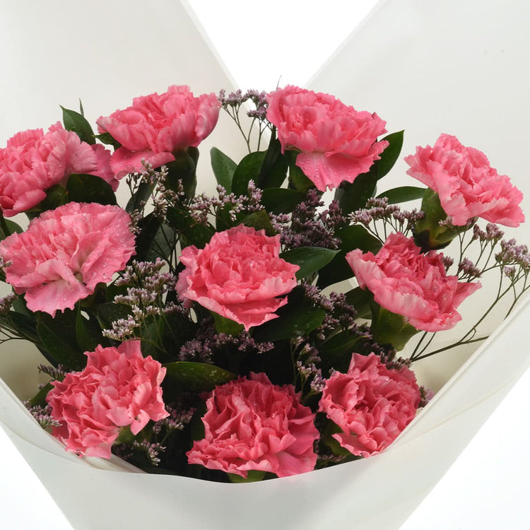 10 Velvet Carnations Bouquet - Zuvees.ae