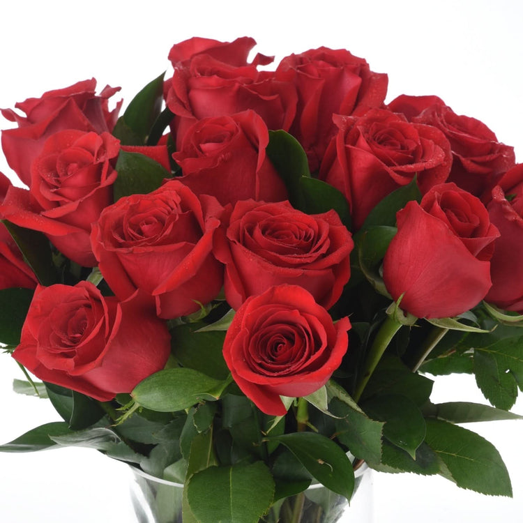 24 Red Roses In Vase - Zuvees.ae