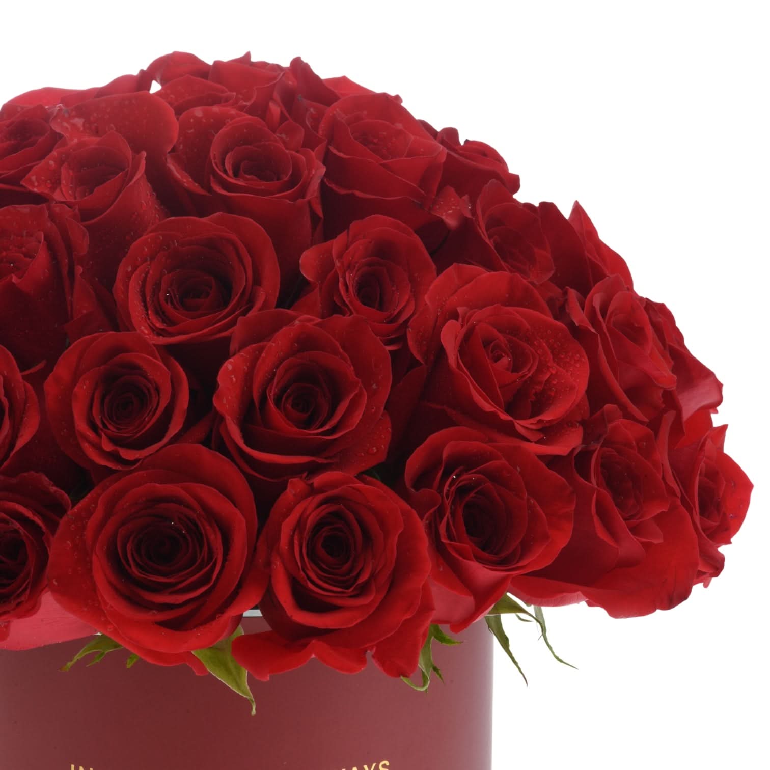 50 Roses in Red Aura Love Vase
