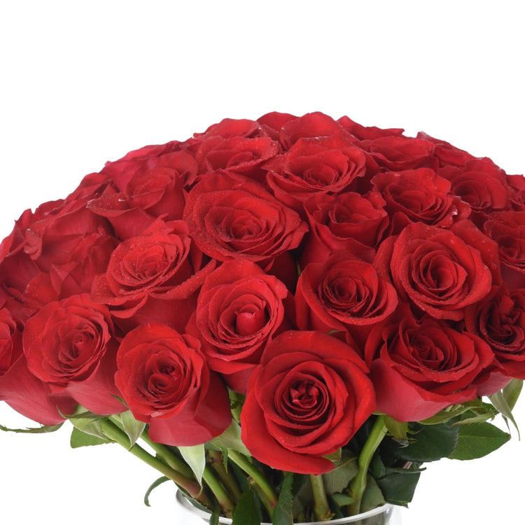 51 Red Roses In Glass Vase - Zuvees.ae
