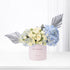 Pastel pink box holds creamy roses and blue hydrangeas, accented with silver fan leaves.