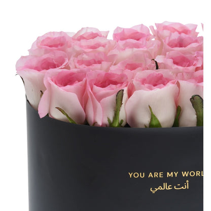 Blush at Twilight Box - Zuvees.ae