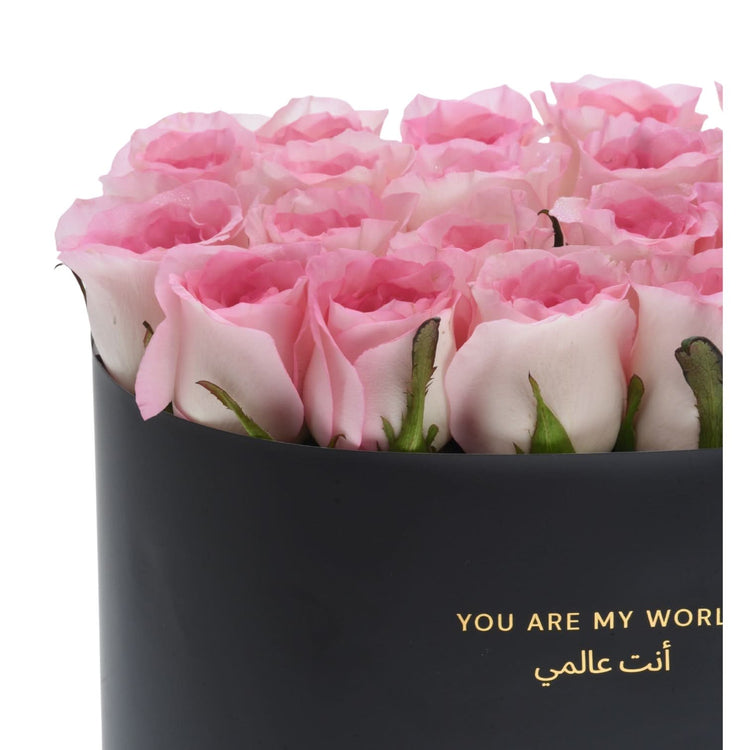 Blush at Twilight Box - Zuvees.ae