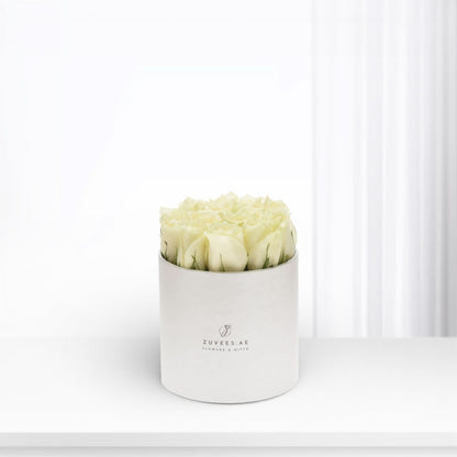 Calm White Roses in Box - Zuvees.ae