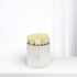 Calm White Roses in Box - Zuvees.ae