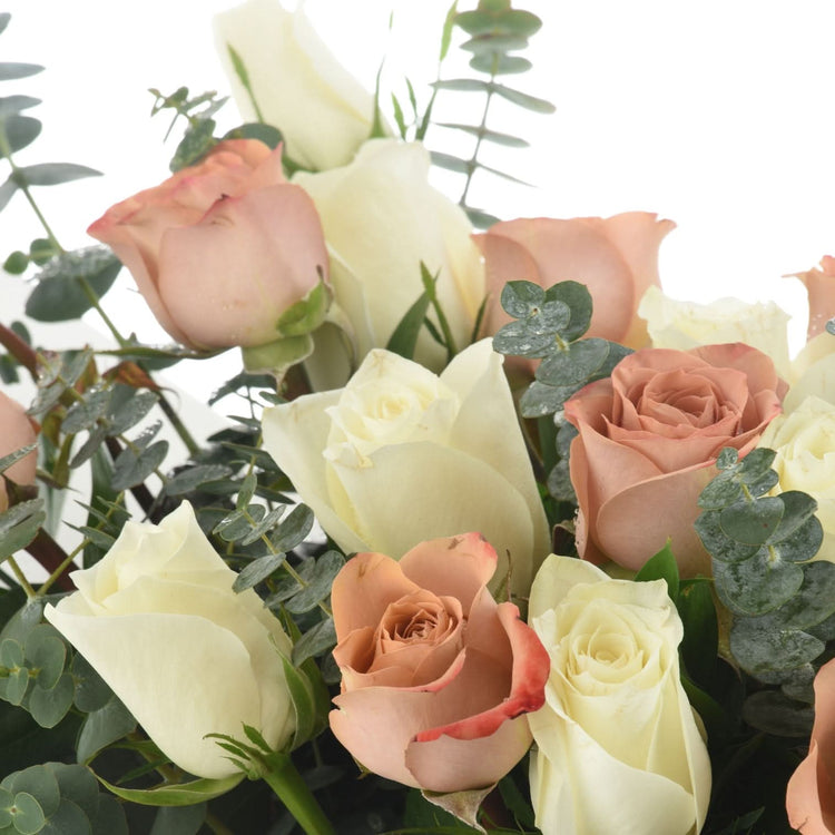 Cappuccino &amp; Sama Roses - Zuvees.ae