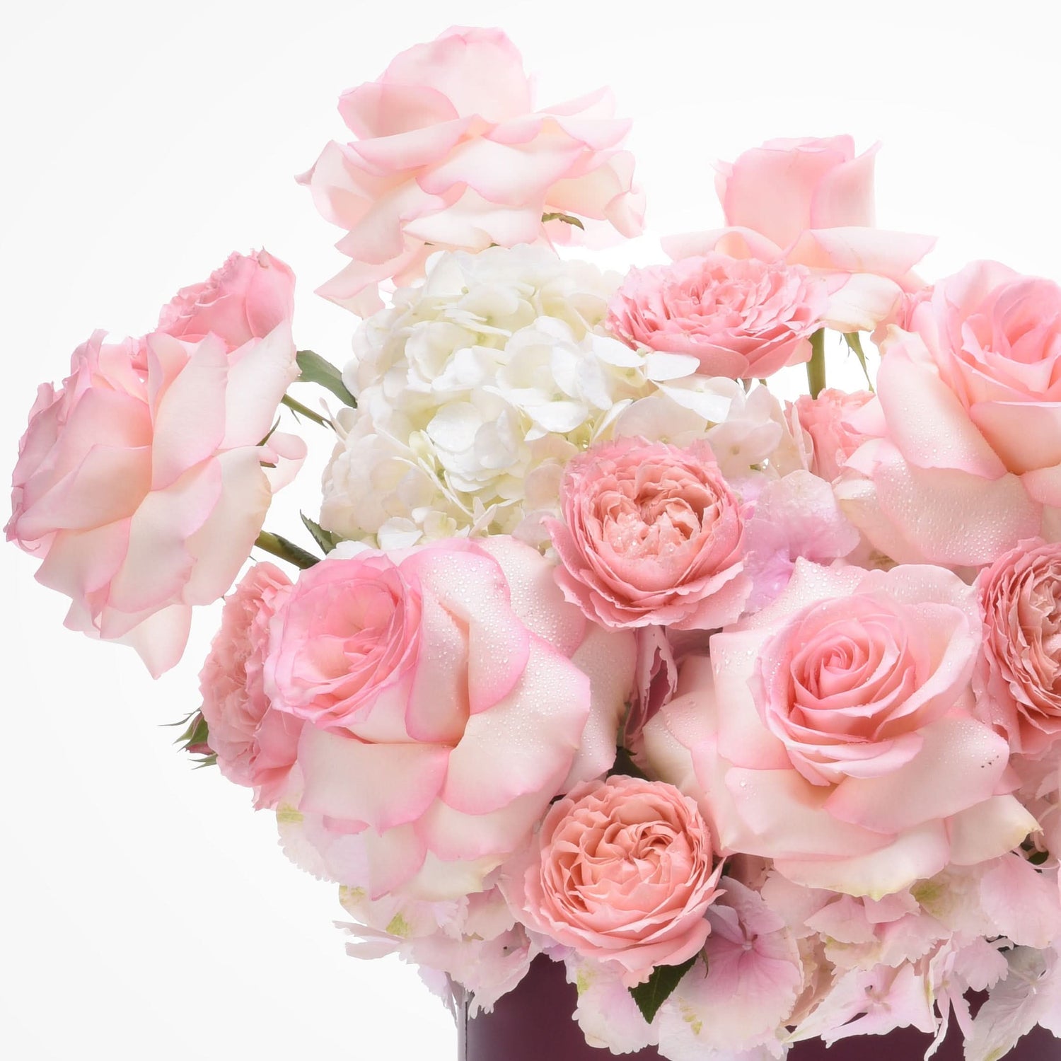 Soft pink roses and white hydrangeas, dew-kissed, elegant floral arrangement.