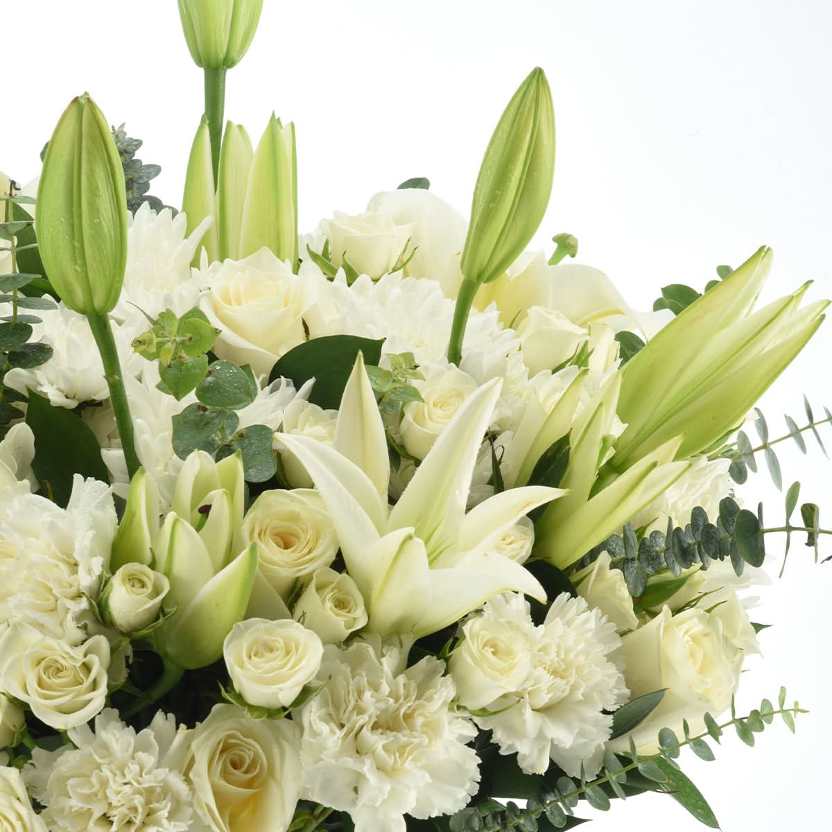 Cloudgarden Bouquet - Zuvees.ae