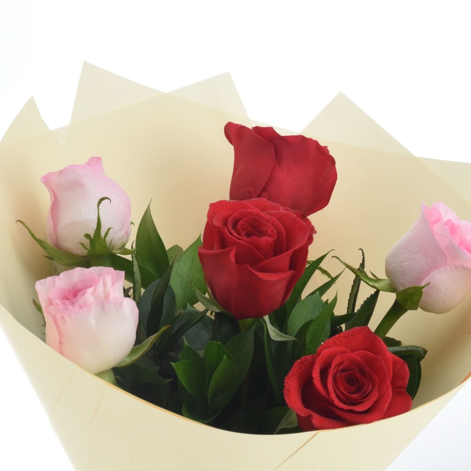 Contrast Of 6 Roses Chocolate Combo - Zuvees.ae