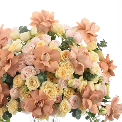 Crystal Cappuccino Regalia - Zuvees.ae