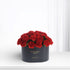 Held in Red - Zuvees.ae