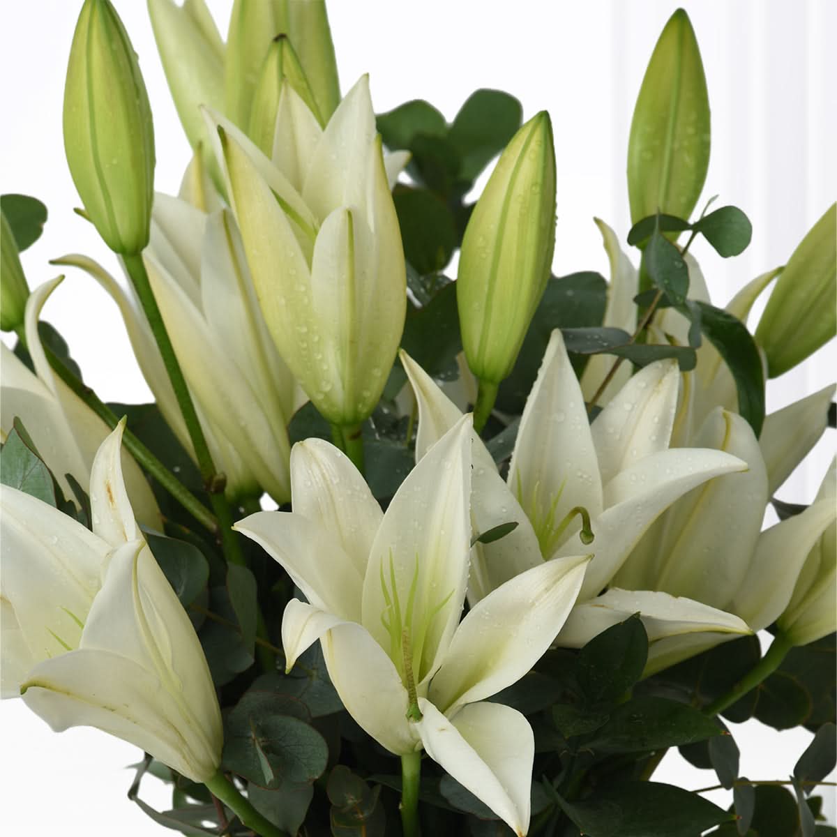 Lilies of Serenity Vase - Zuvees.ae