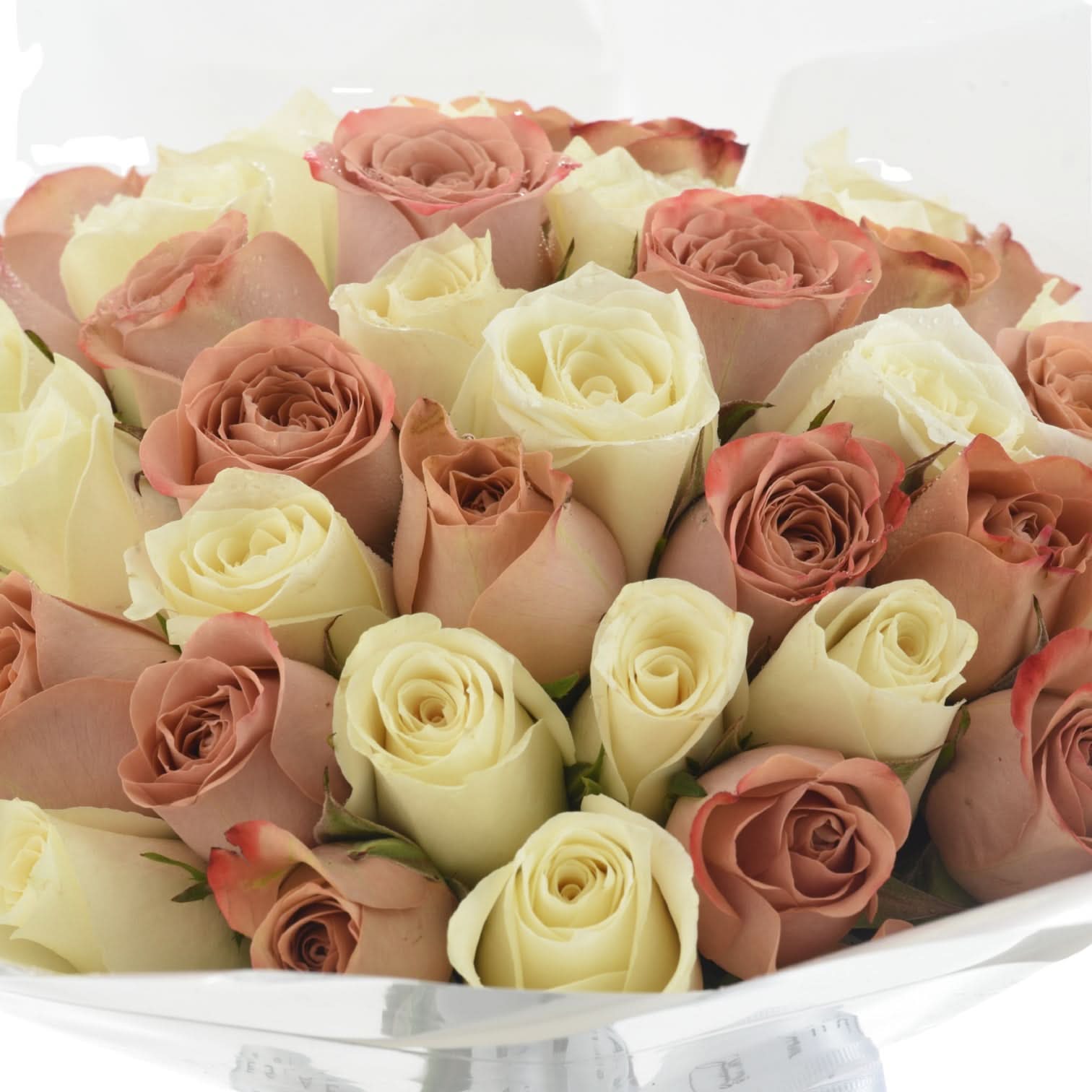 Mocha Cloud Bouquet - Zuvees.ae