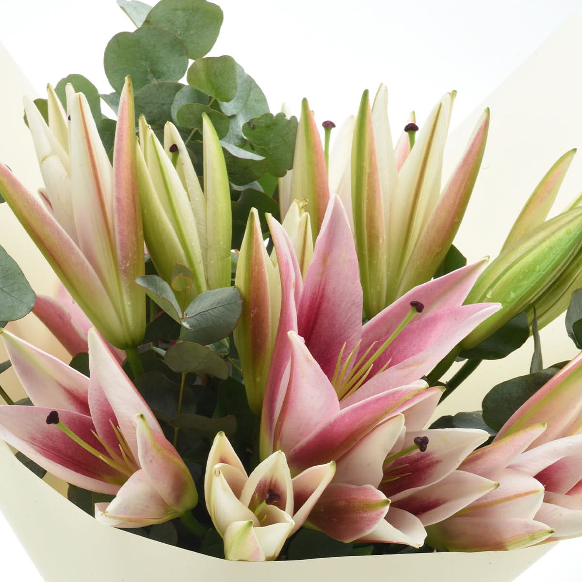 Moonblush Lilies Bouquet - Zuvees.ae