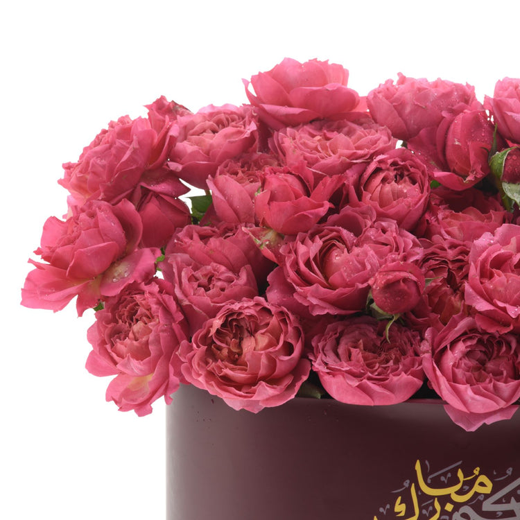 Noor of Juleita Sweets Combo - Zuvees.ae