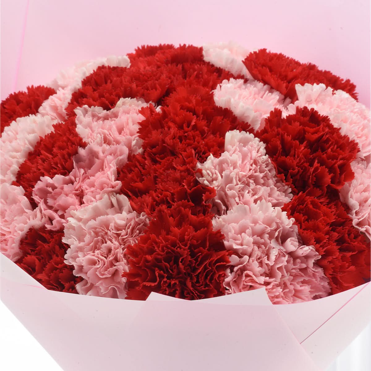 Pink Garden Wrap - Zuvees.ae