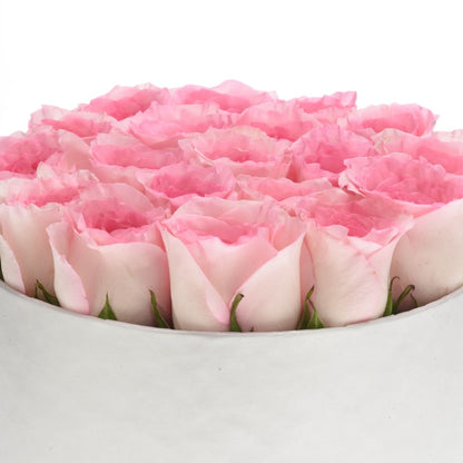 Pink in Bloomlight In Red Box Cake Combo - Zuvees.ae