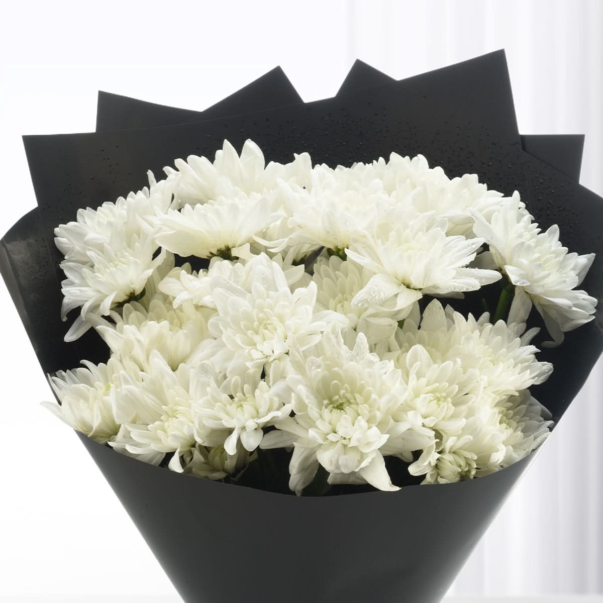 Pure White Blooms Bouquet - Zuvees.ae