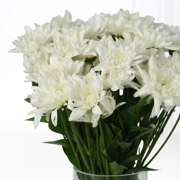 Pure White Blooms Vase - Zuvees.ae