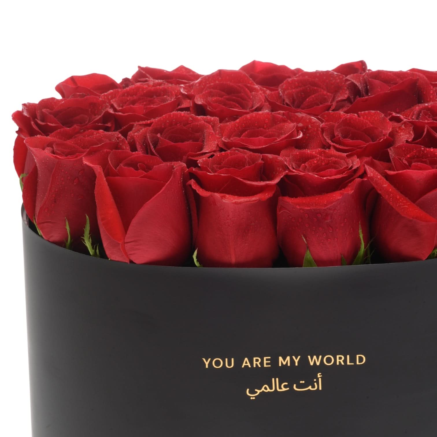 The Burgundy Eclipse Love Box