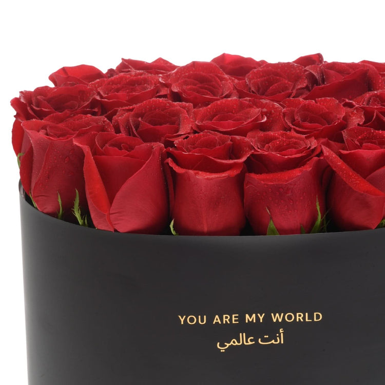 The Burgundy Eclipse Love Box