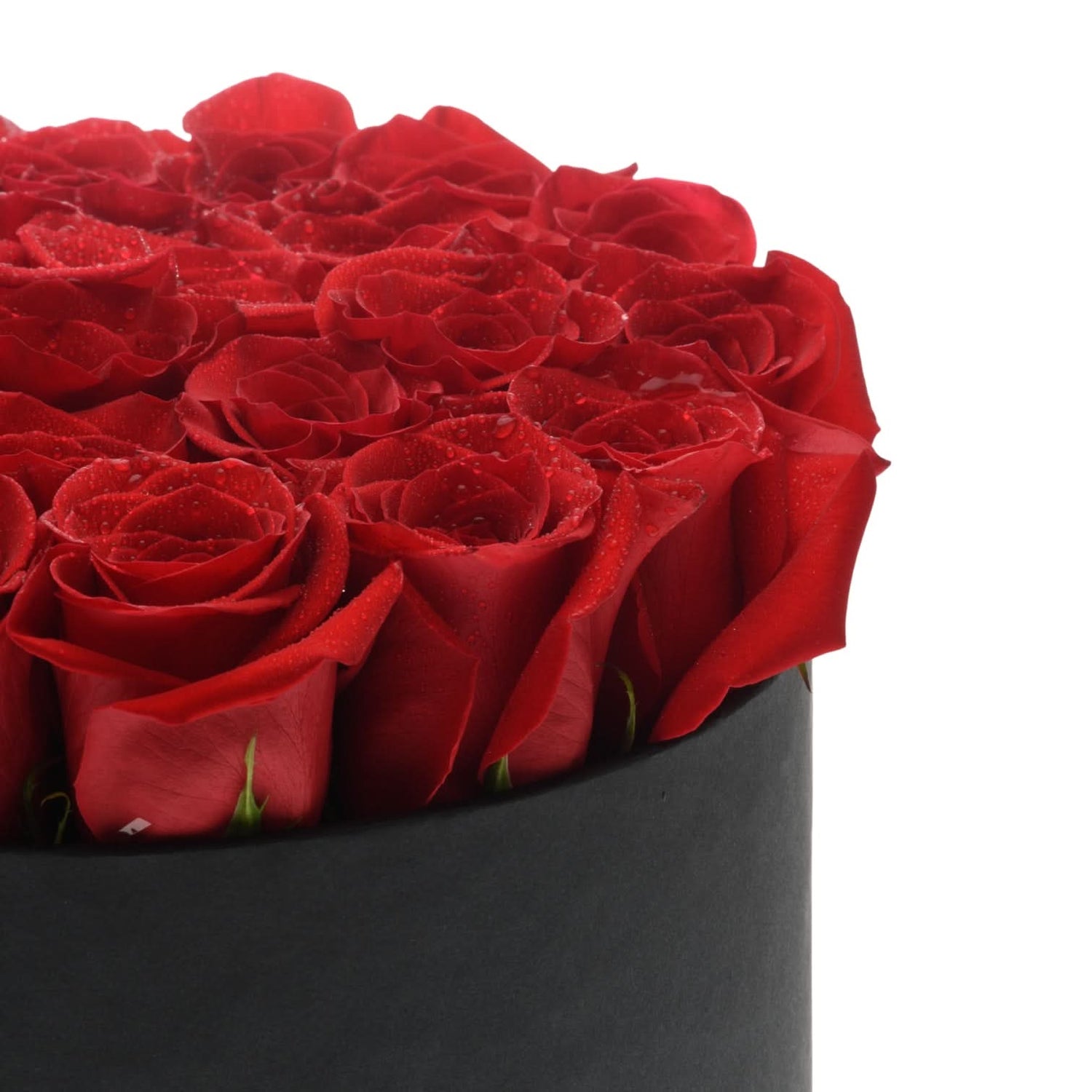 The Deep Red Hour - Zuvees.ae