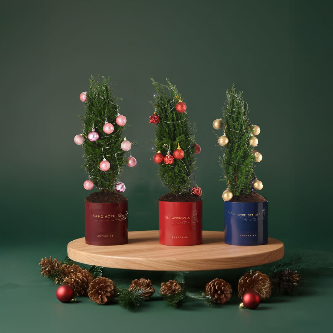 The Twinkle Tree Trio