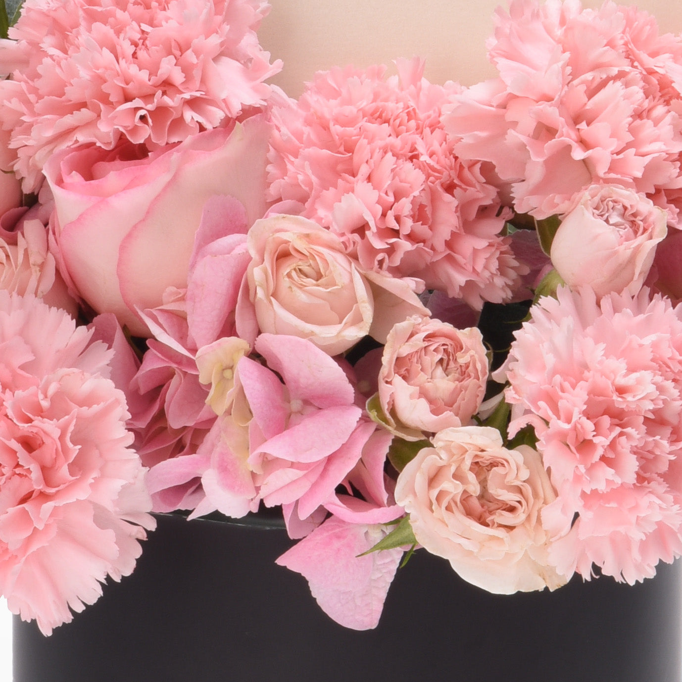Soft pink carnations, roses, and hydrangeas bloom vibrantly in sleek black vase.
