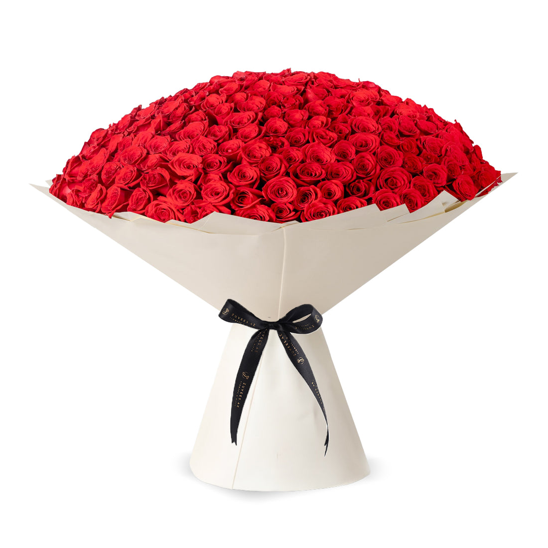 365 Red Blush Bloom - Zuvees.ae