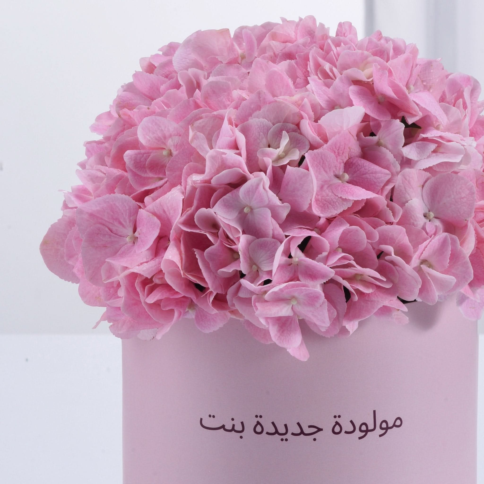 Blush Elegance Baby Girl Bloom Box - Zuvees.ae