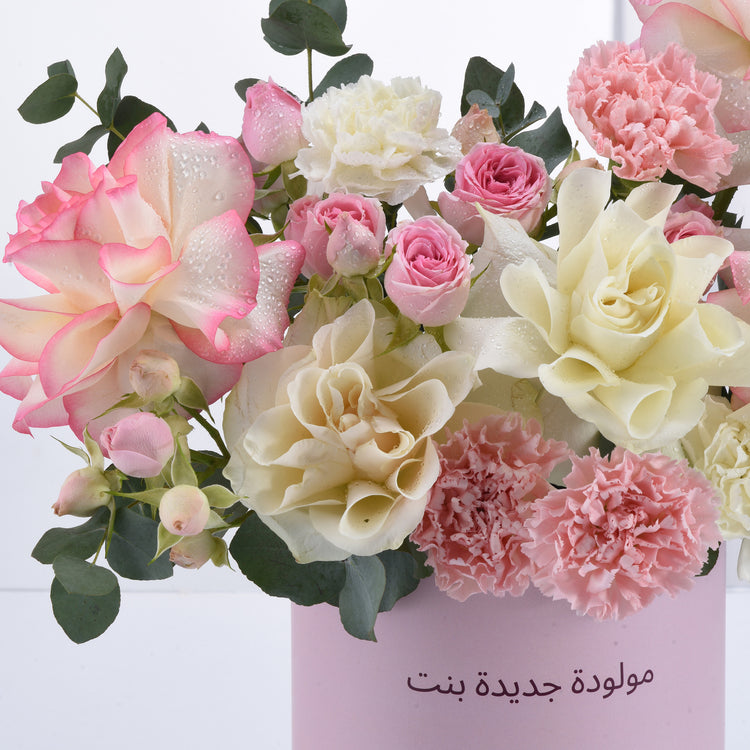 Pink and cream roses with carnations, dew-kissed petals, lush greenery, elegant gift box.