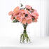 Blushing Grace in a Vase - Zuvees.ae