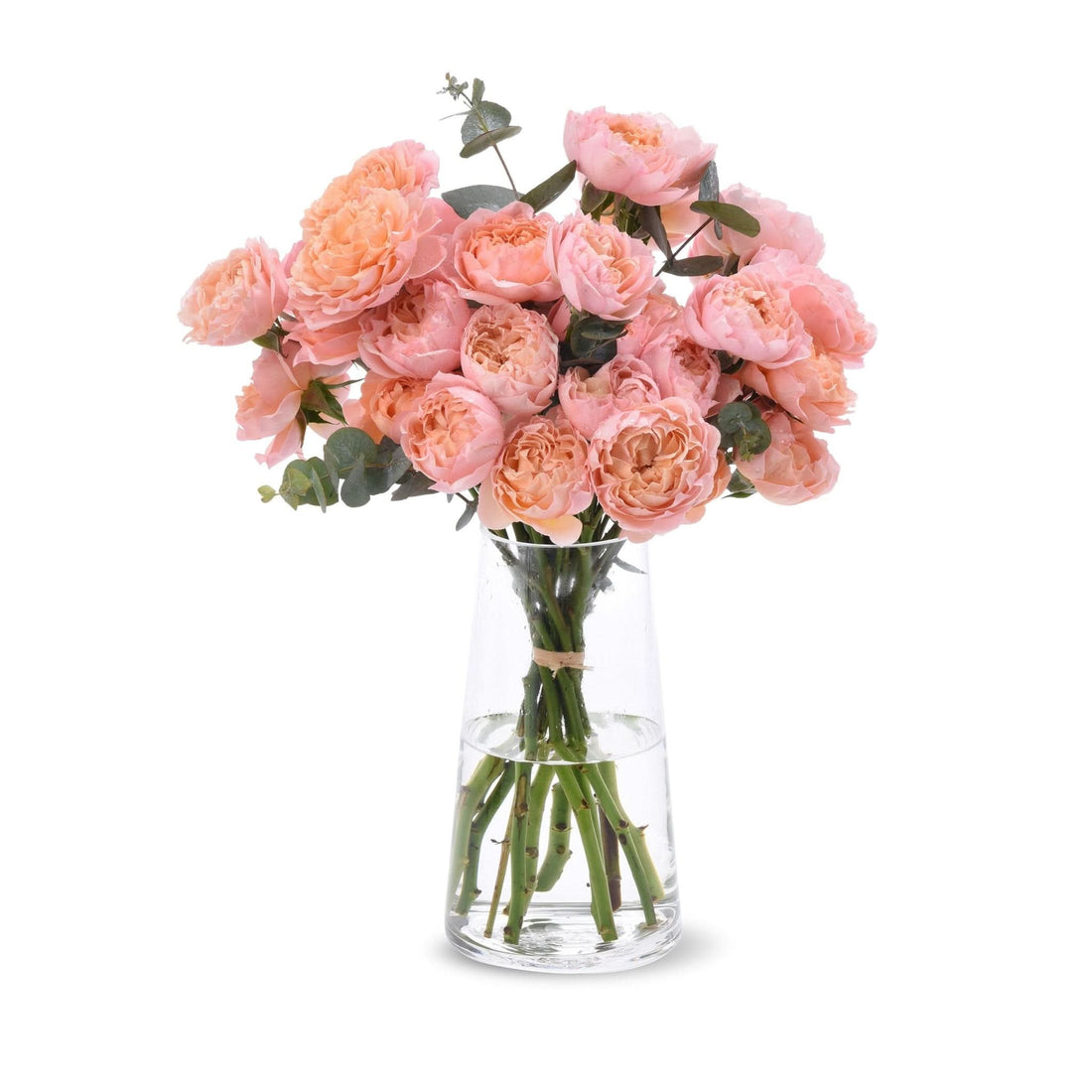 Blushing Grace in a Vase - Zuvees.ae