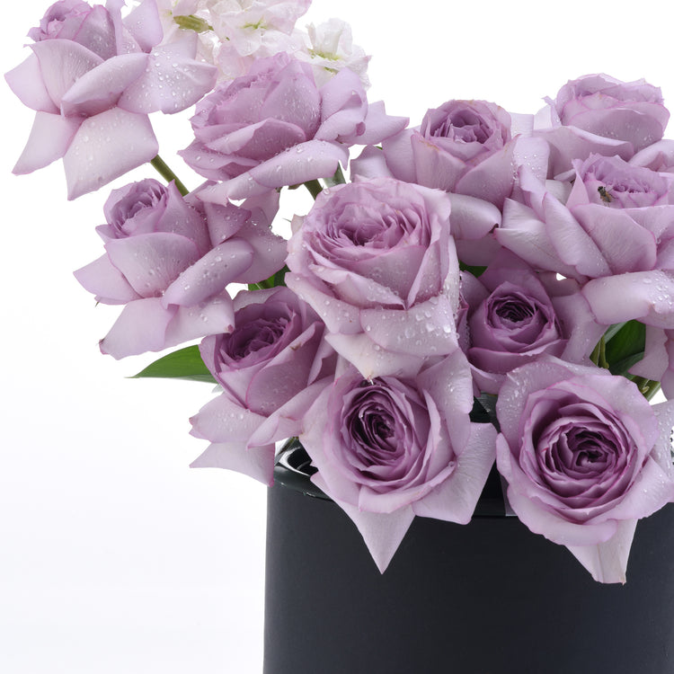 Lavender Bliss In Black Bloom Box - Zuvees.ae