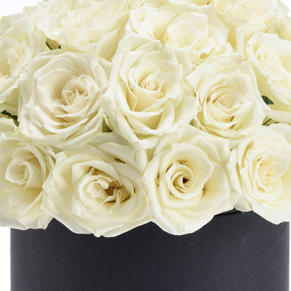 Cream roses in sleek black box, soft petals, elegant arrangement.