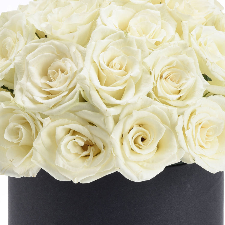 Cream roses in sleek black box, soft petals, elegant arrangement.