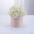 Pure Serenity Congratulations Bloom Box - Zuvees.ae