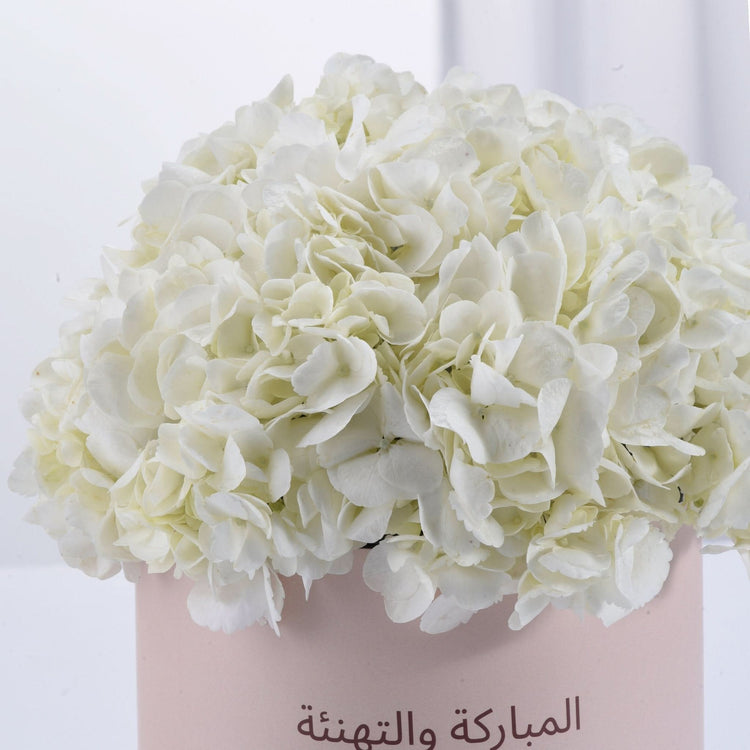 Pure Serenity Congratulations Bloom Box - Zuvees.ae