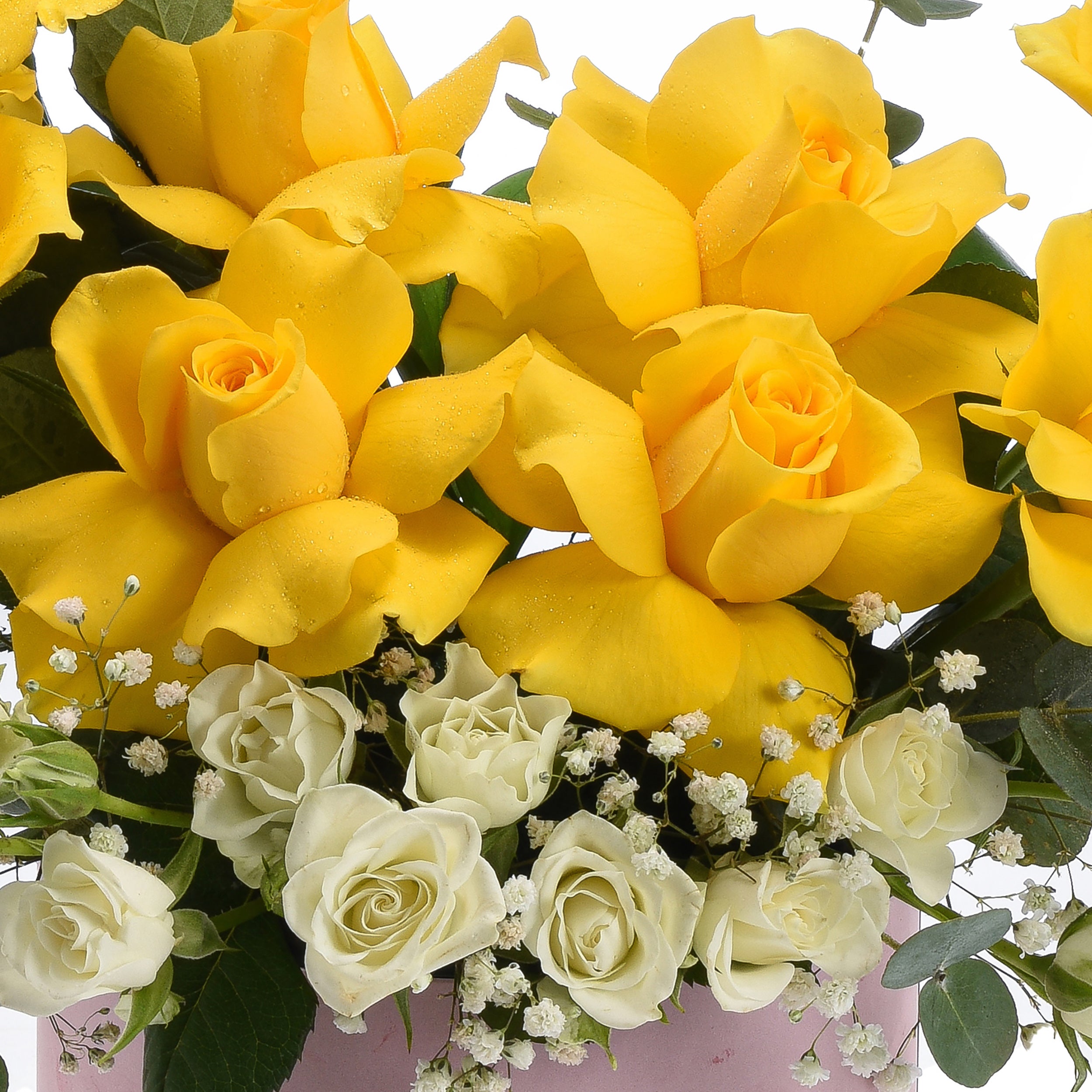 Vibrant yellow roses with dewdrops, accented by creamy white blooms and greenery.