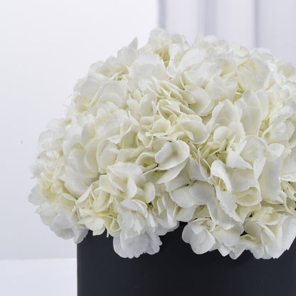 Pure Serenity Black Bloom Box
