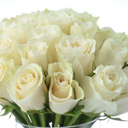 Eternal White in Glass Vase